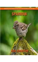 Sparrow: Amazing Pictures & Fun Facts on Animals in Nature