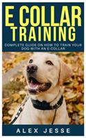 E Collar Training: Complete Guide on How to Train Your Dog with an E-Collar
