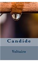 Candide