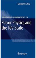 Flavor Physics and the TeV Scale