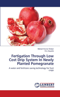 Fertigation Through Low Cost Drip System In Newly Planted Pomegranate