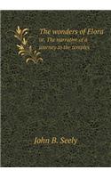 The wonders of Elora or, The narrative of a journey to the temples