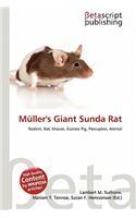 M Ller's Giant Sunda Rat