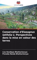 Conservation d'Elaeagnus latifolia L: Perspectives dans la mise en valeur des terres