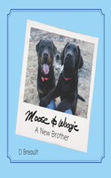Moose and Woogie: A New Brother
