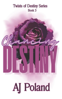 Chancing Destiny