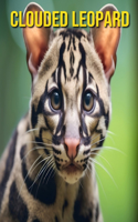 Clouded Leopard