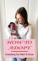 How To Adopt: Everything You Want To Know: Adoption Process