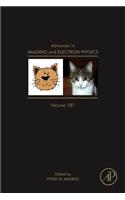 Advances in Imaging and Electron Physics