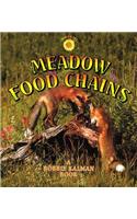 Meadow Food Chains