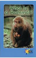 What Is a Mammal?