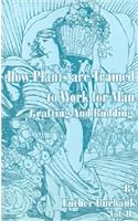 How Plants Are Trained to Work for Man