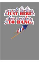 Just Here To Bang: 120 Page Blank Lined Notebook Journal