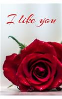 I like you