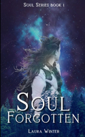 Soul Forgotten