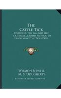 Cattle Tick