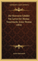 Der Heerwurm Gebildet Von Larven Der Thomas-Trauermucke, Sciara Thomae (1854)