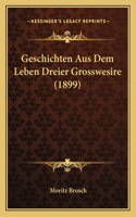 Geschichten Aus Dem Leben Dreier Grosswesire (1899)