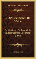 Pflanzenzucht Im Walde