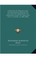 Catalogue Of Mollusca And Echinodermata Dredged On The Coast Of Labrador By The Expedition Under The Direction Of W. A. Stearns, In 1882 (1883)