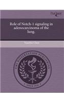 Role of Notch-1 Signaling in Adenocarcinoma of the Lung