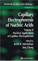 Capillary Electrophoresis of Nucleic Acids. Methods in Molecular Biology, Volume 163.