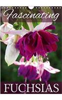 Fascinating Fuchsias 2018: Discover the Beauty of Fuchsias(Calvendo Nature)