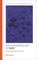 The Phenomenology of Paint