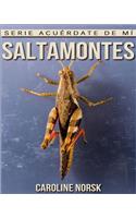 Saltamontes: Libro de imágenes asombrosas y datos curiosos sobre los Saltamontes para niños