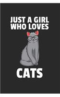 Katze Kätzchen Notizbuch: Katze Kätzchen Notizbuch für Liebhaber / Notizheft / Notizblock A5 (6x9in) Dotted Notebook / Punkteraster / 120 gepunktete Seiten