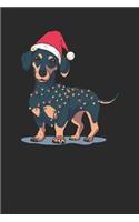 Christmas Dachshund