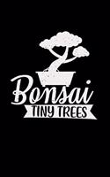 Bonsai tiny trees