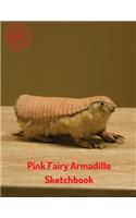 Pink Fairy Armadillo Sketchbook: (Sketchbook for Girls)