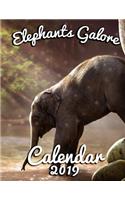 Elephants Galore 2019 Calendar