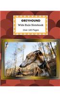 Greyhound