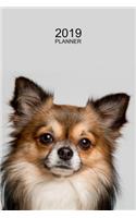 Chihuahua Planner 2019: Chihuahua Notebook and Organizer