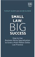 Small Law; Big Success: How to Use Business Niche Specialization to Grow a Multi-Million Dollar Law Practice