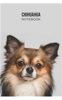 Chihuahua Notebook