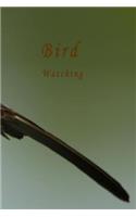 Bird Watching