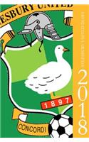 Aylesbury United Diary 2018