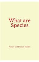 What Are Species