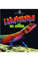 L'Adaptation Au Milieu
