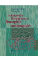 Embryonic Development of Drosophila Melanogaster