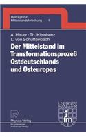 Der Mittelstand Im Transformationsprozeß Ostdeutschlands Und Osteuropas