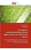 Réponse Photosynthétique d''une Algue Verte À La Carence En Soufre