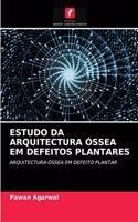 Estudo Da Arquitectura Óssea Em Defeitos Plantares