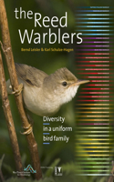 Reed Warblers