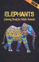 Coloring Book for Adults Animals Elephants: Elephant Coloring Book Stress Relieving 50 One Sided Elephants Designs 100 Page Coloring Book Elephants for Stress Relief and Relaxation Elephants C