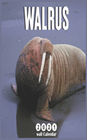 Walrus wall calendar 2021: 18 Months Calendar