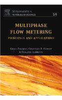 Multiphase Flow Metering: Principles and Applications (Volume 54) (Developments in Petroleum Science, Volume 54)
